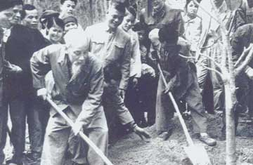 bac-ho-va-que-huong-nghia-trong-tinh-cao